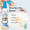 imageMiss Mouths Messy Eater Stain Treater Spray  4oz Stain Remover  Newborn ampamp Baby Essentials  No Dry Cleaning Food Grease Coffee Off Laundry Underwear FabricCombo Pack