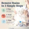 imageMiss Mouths Messy Eater Stain Treater Spray  4oz Stain Remover  Newborn ampamp Baby Essentials  No Dry Cleaning Food Grease Coffee Off Laundry Underwear FabricCombo Pack